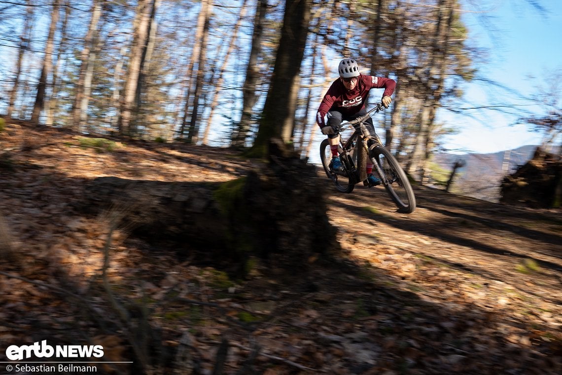 Die griffigen Schwalbe-Reifen performen auf dem trockenen Waldboden perfekt und bieten im groben Gelände eine große Pannensicherheit.