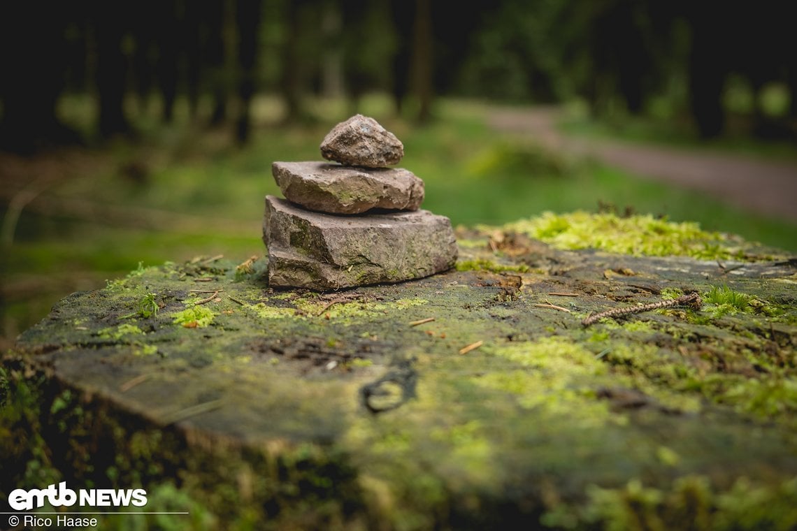 Hübsches Symbol am Wegesrand