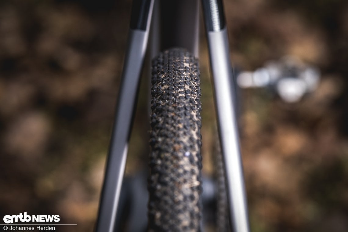 Auch dieses Modell setzt auf Schwalbe G-One Bite-Reifen