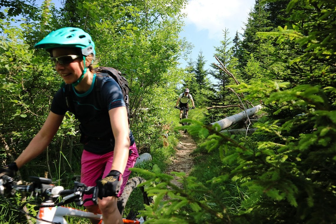 Auf schönem Singletrail von der Vorder- zur Staudacheralm