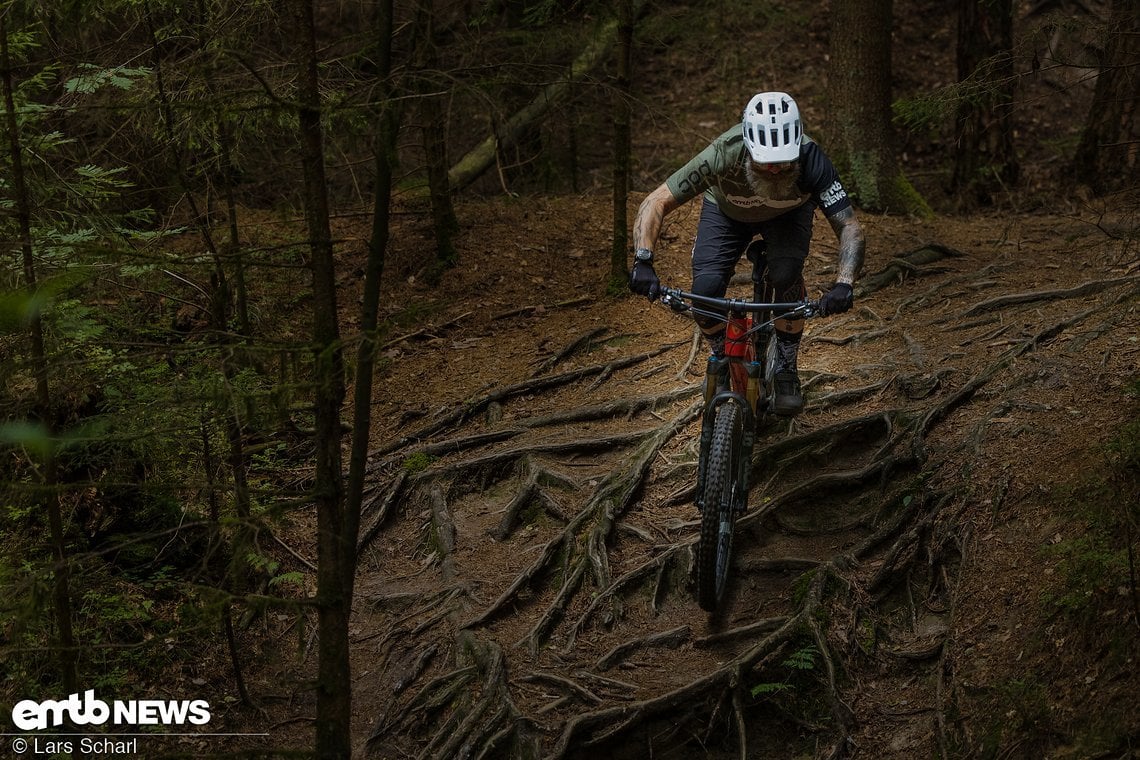 Auch ein wildes Wurzelmassaker bewältigt dieses Bike souverän.