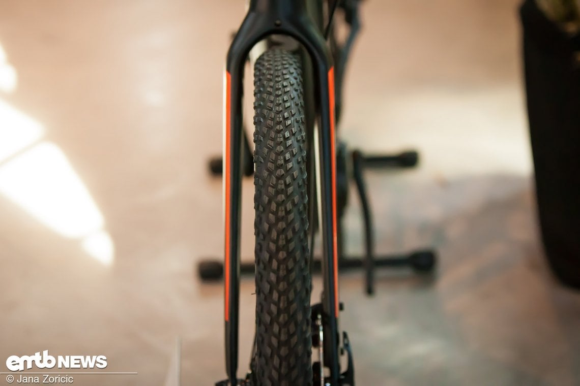 Giant eMTB News (6 von 45)