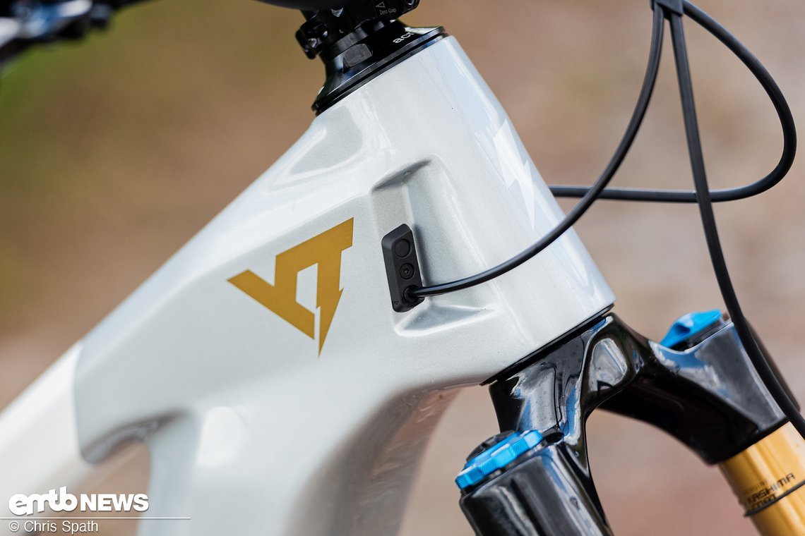 77380-987du9tuub6i-foto chris spath yt decoy 12-original