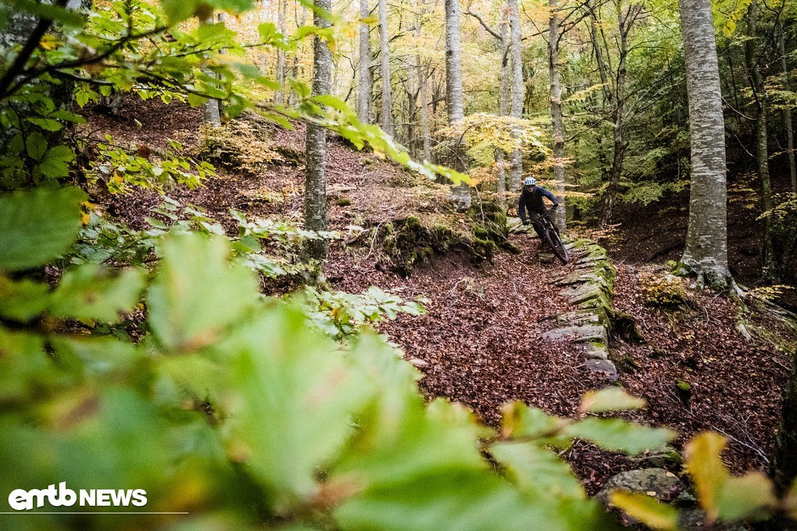 Lauern unter dem Laub rutschige Steine und Wurzeln?