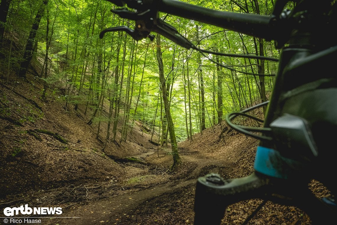 ... beeindruckenden Wälder um Eisenach