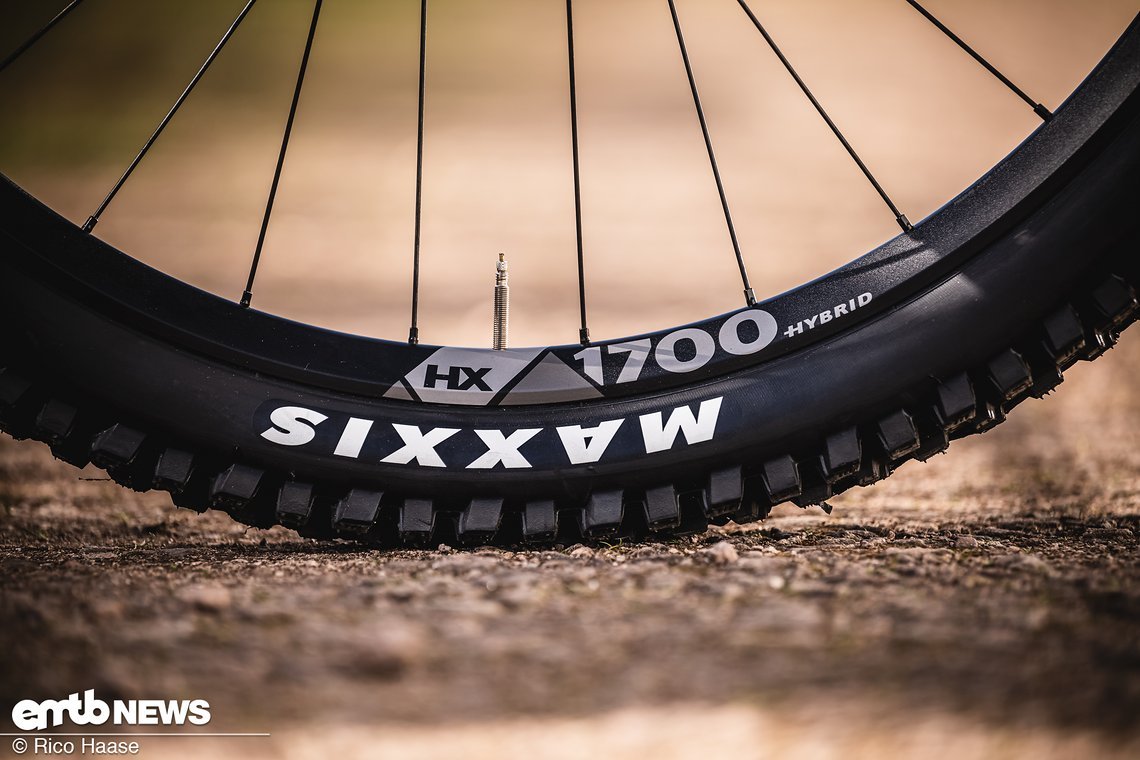 ... eine Reifenkombination aus Maxxis Assegai und Maxxis Minion DHR II ergänzt.