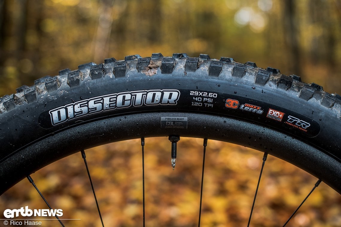 Im Heck der Maxxis Dissector als großes 29-x-2,6″-Modell.