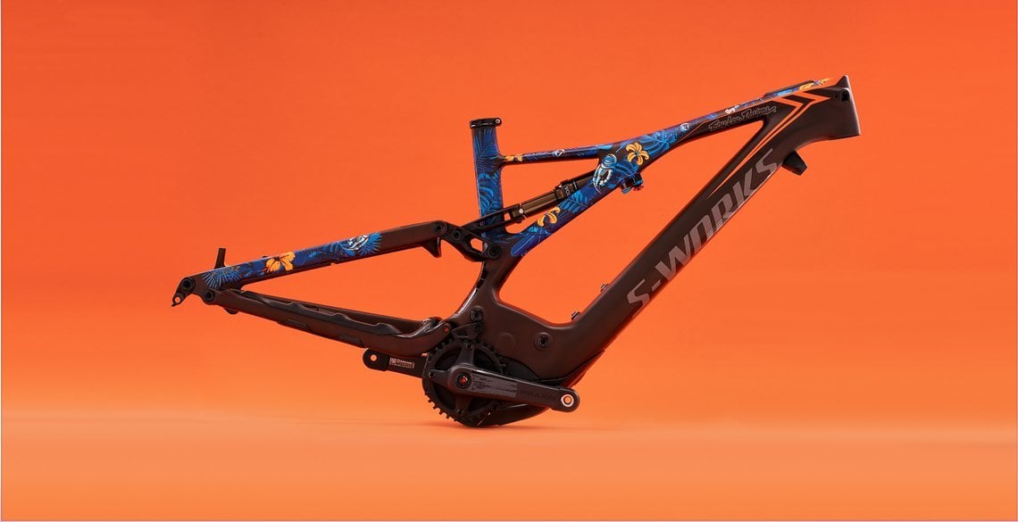 Specialized Levo X Troy Lee Designs LTD