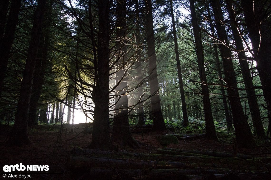 Die Wälder sind sehr mystisch