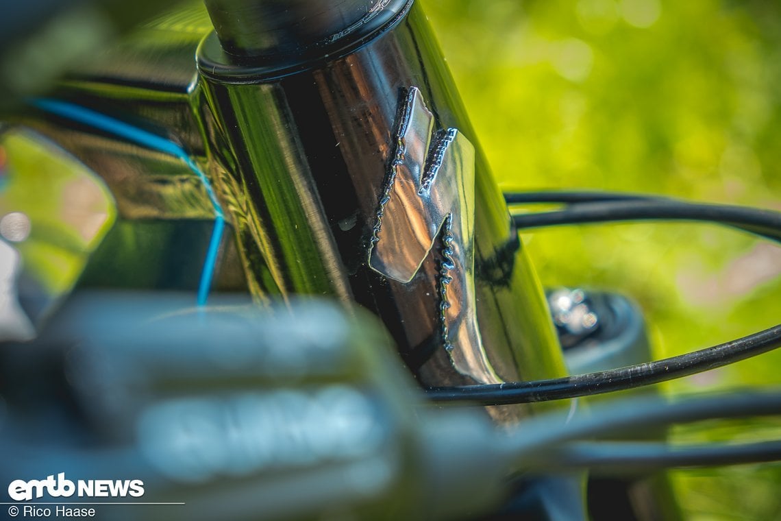 Solides und edles Specialized-Badge auf dem Steuerrohr