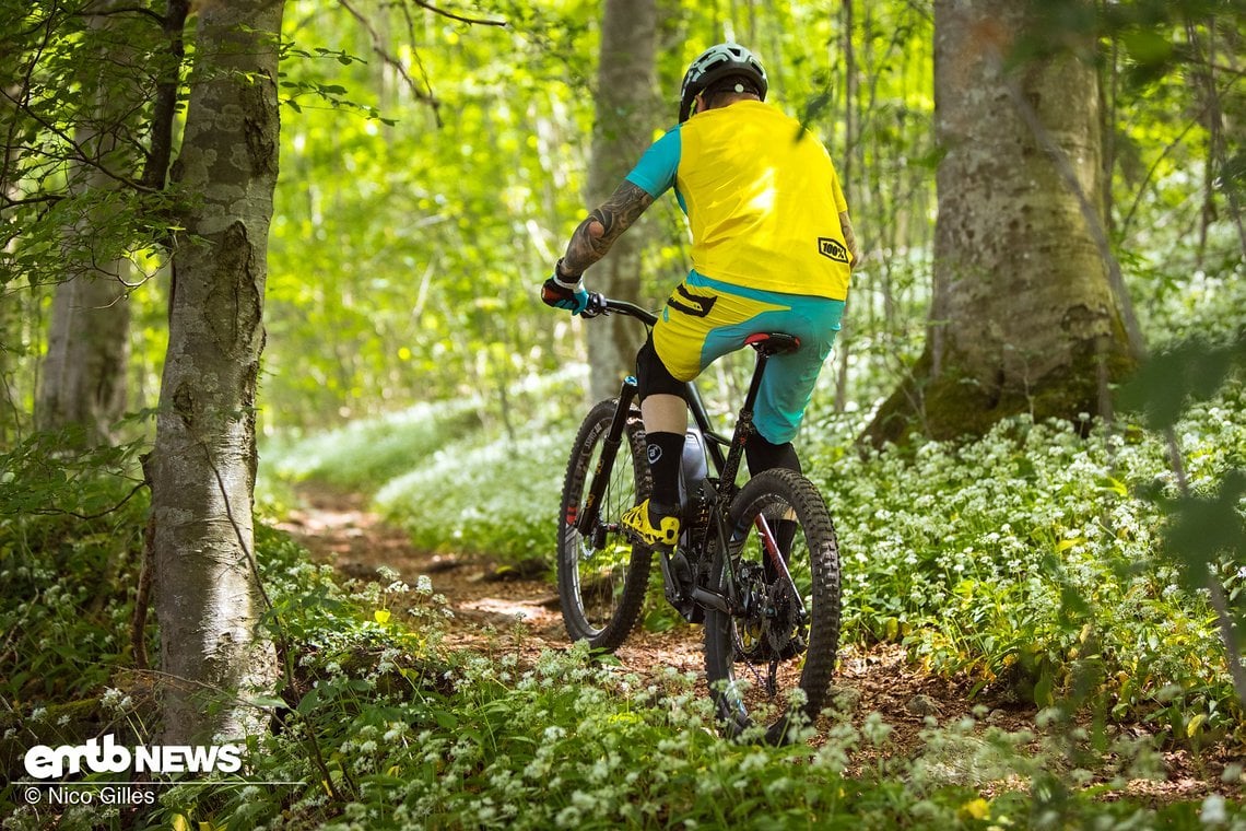 Der Shimano -Motor schiebt ordentlich nach oben