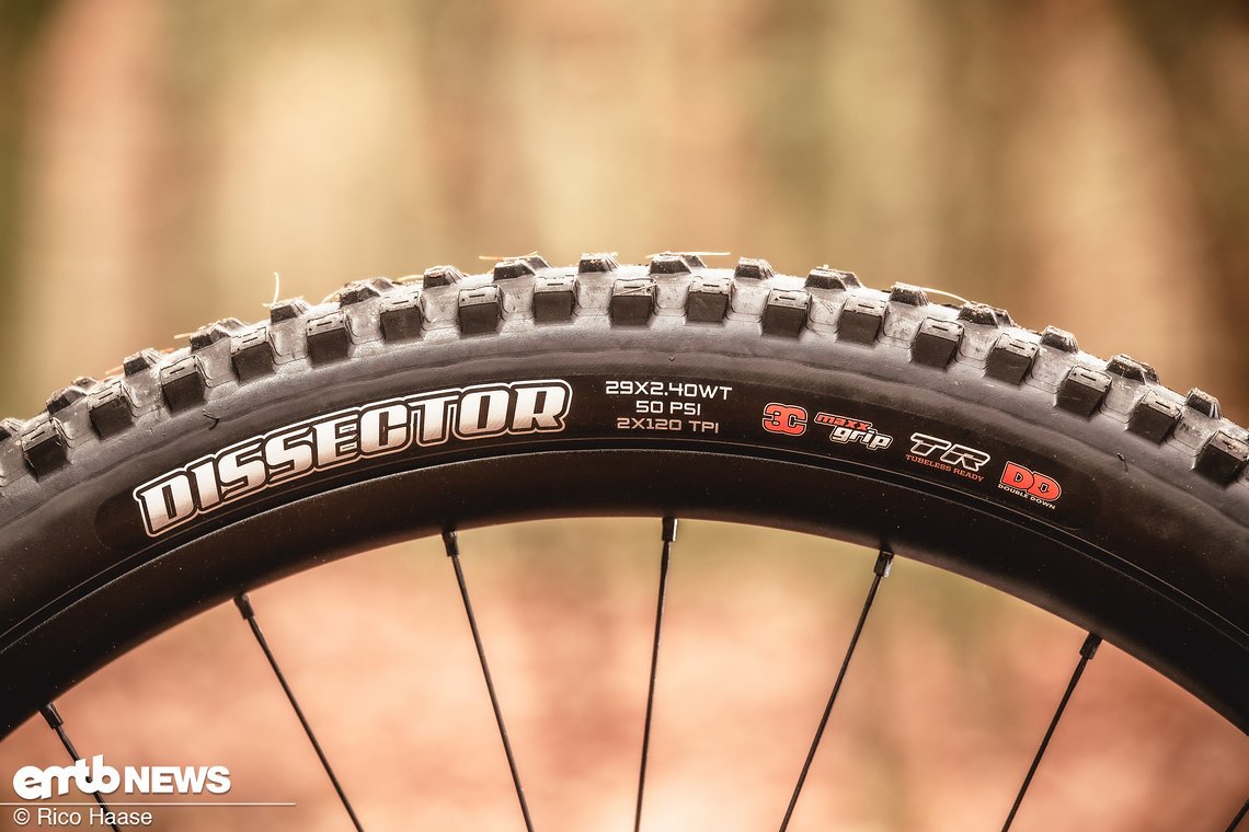 Die Reifenwahl passt gut zu einem Light-E-MTB: Hinten kommt ein Maxxis Dissector und vorne ein Maxxis Assegai zum Einsatz.