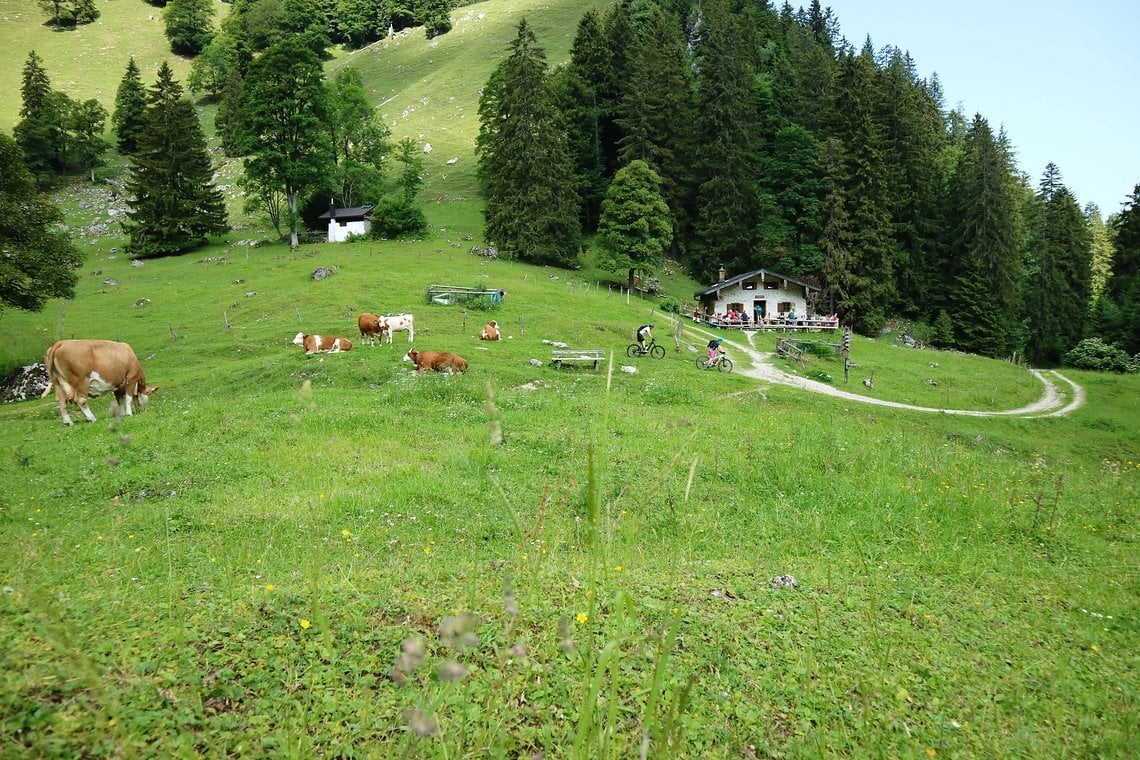 Malerischer geht es nicht, die Staudacher Alm