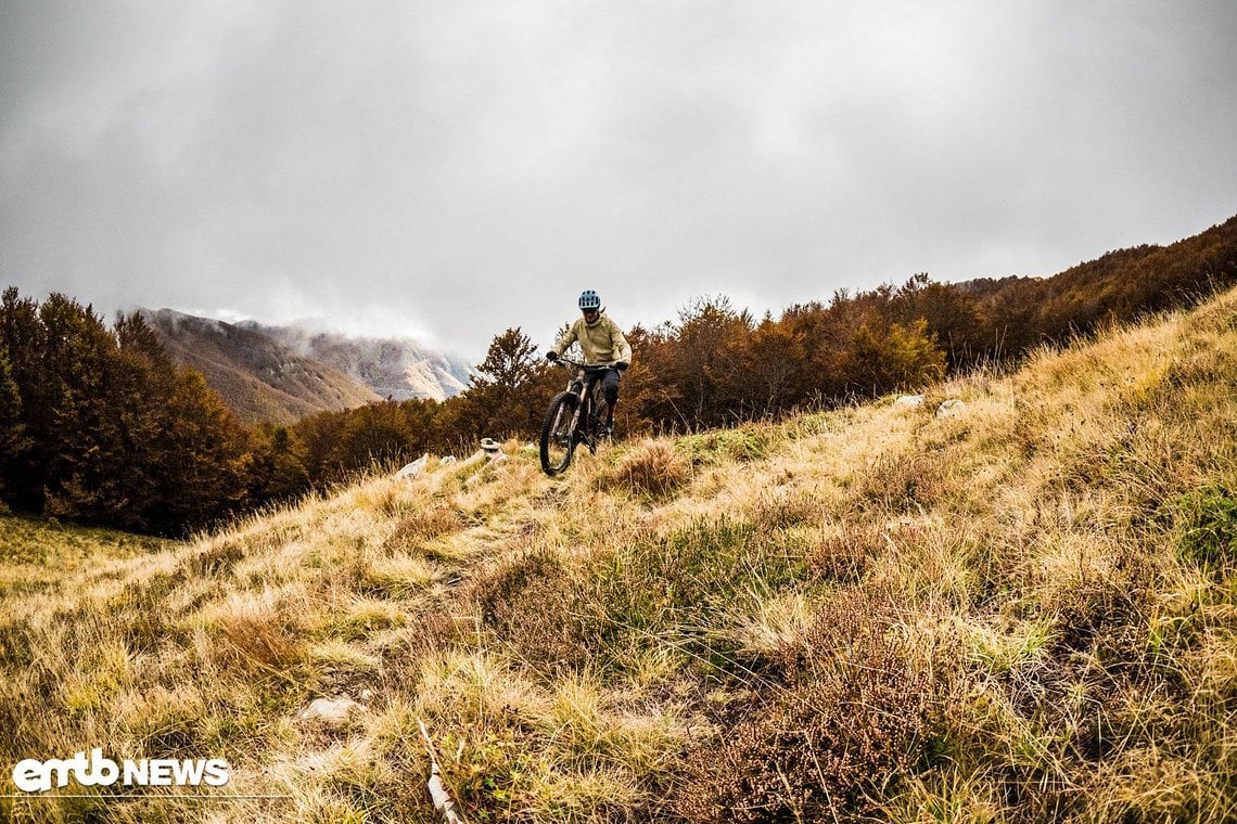 Auf vergessenen Trails wie diesem helfen wenig Luftdruck und fettes Gummi