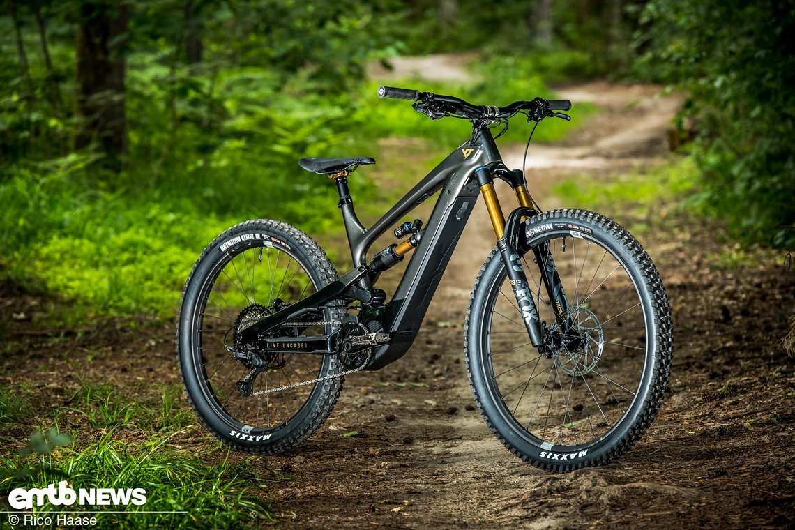 YT verbaut im Decoy Elite ebenfalls einen Steps E8000 von Shimano