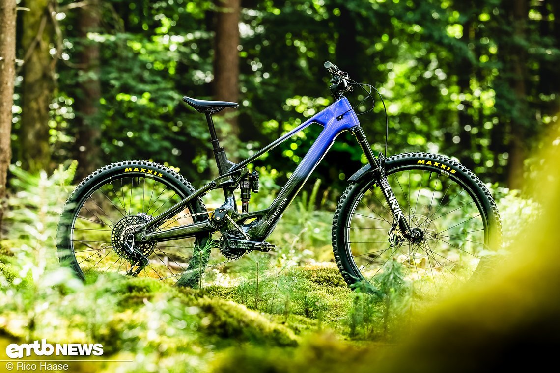 Forbidden Druid Lite – schnell und äußerst potent!