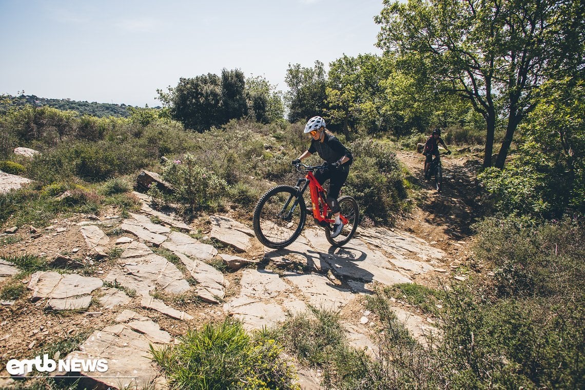 Einer von zig Zubringer-Uphill-Trails.