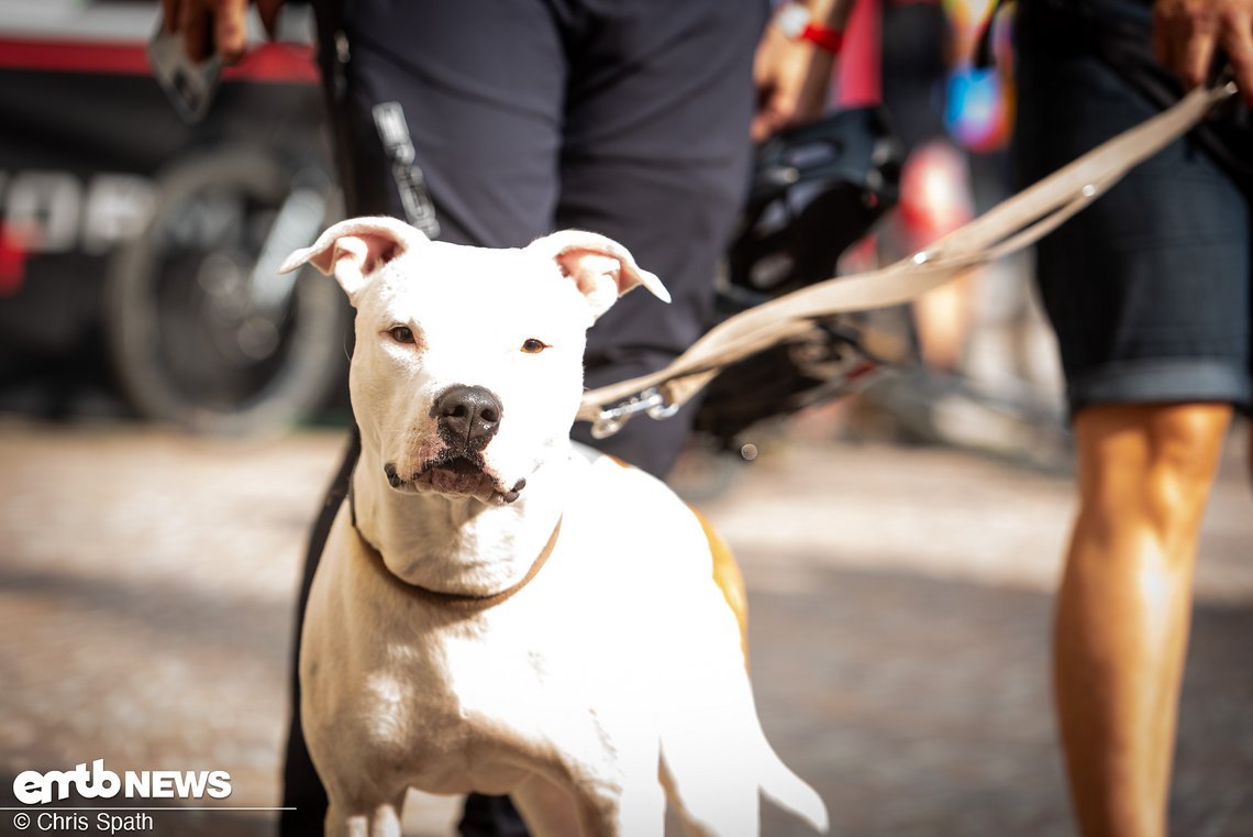 Foto Chris Spath EMTB-News Thok-Tribe-018
