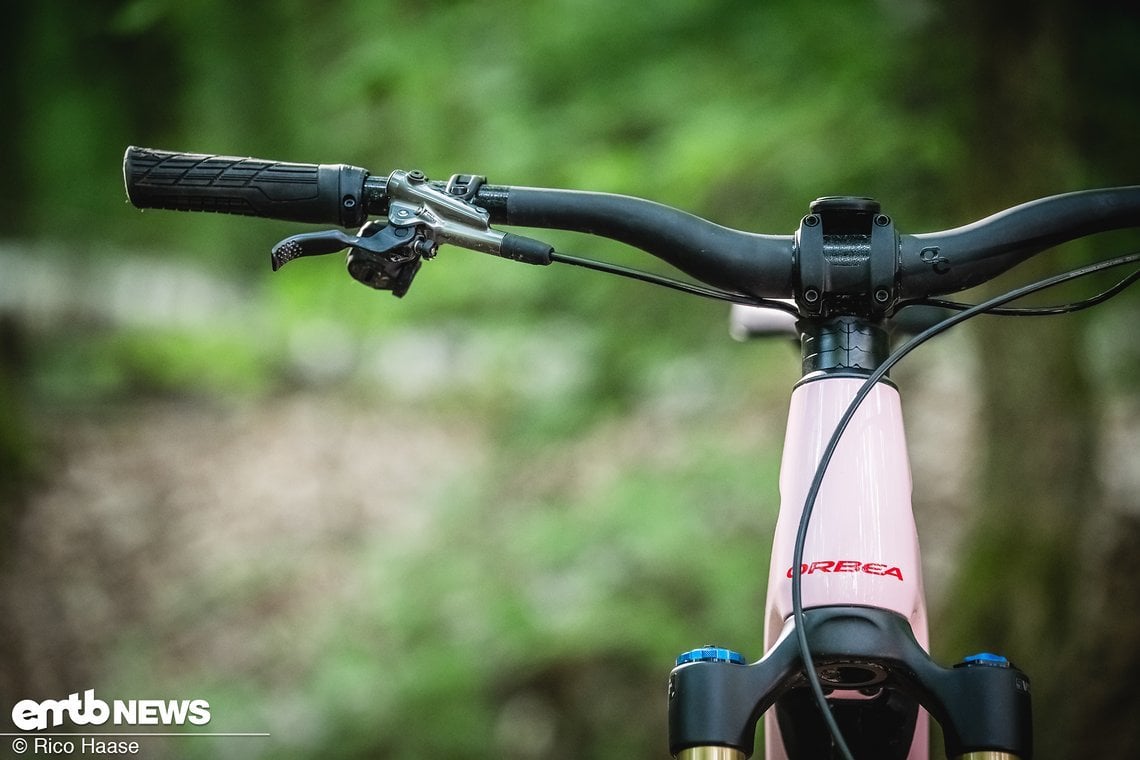 Orbea Wild Fast Forward Team 2025 Bikecheck DSC 2916