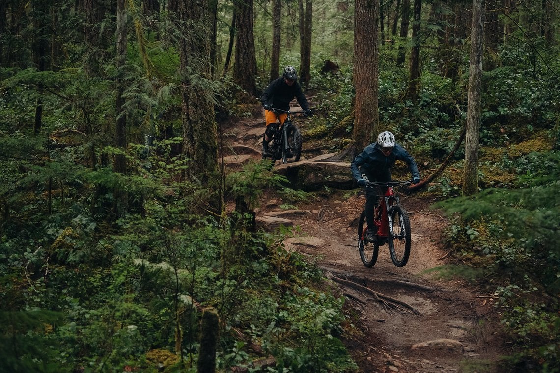 Die Ostküste hat regenreiche, saftig grüne Wälder voller reichlich ruppiger Trails …