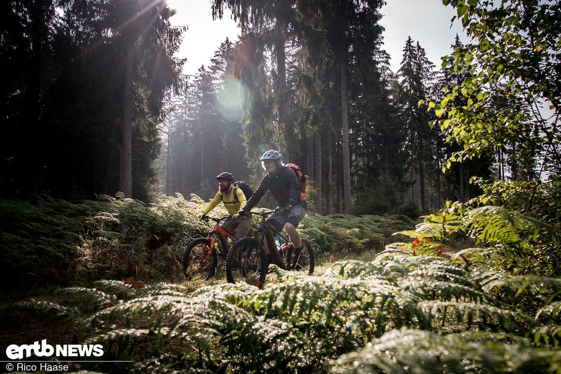 Teilweise geht es über breite Wald- und Forstwege