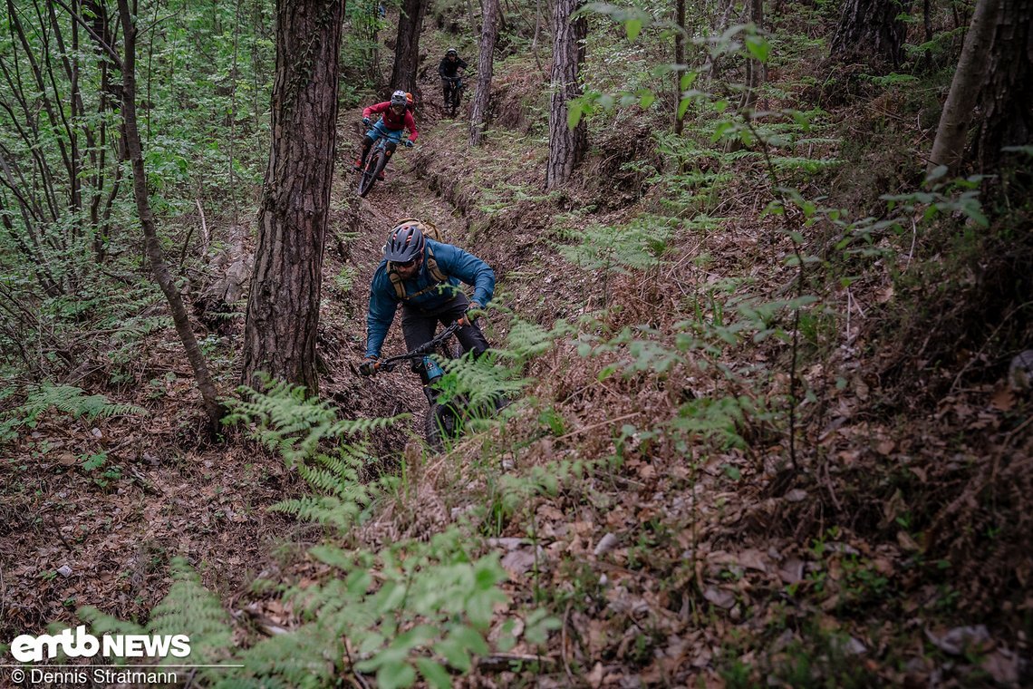 Tag 3 – Frühjahrserstbefahrung auf ungefegten Trails.