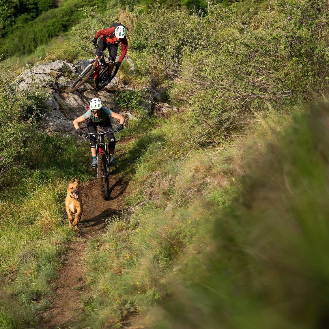 Auf den Hund gekommen: Katharina und Harald flitzen ihrem Trail-Dog hinterher.