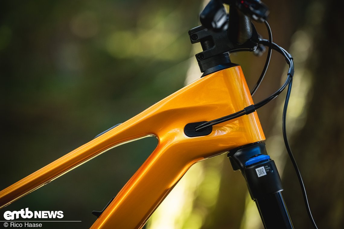 Canyon SpectralONfly CLLCTV VT Light-Support-E-MTB 2025DSC 7214