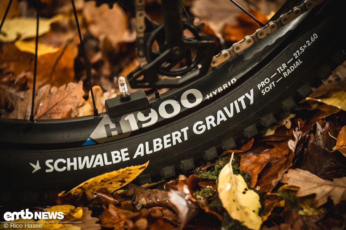 ... Radialreifen von Schwalbe bestückt.