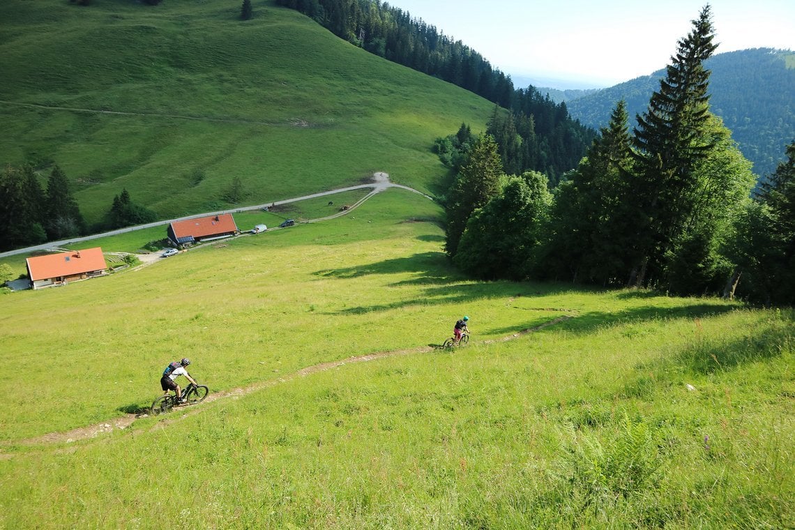 Auch durch steile Kuahwiesn ziehen sich die Chiemgauer Trails