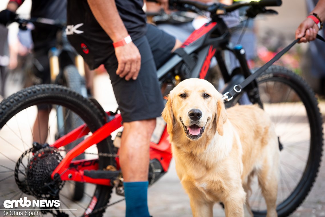 Foto Chris Spath EMTB-News Thok-Tribe-006