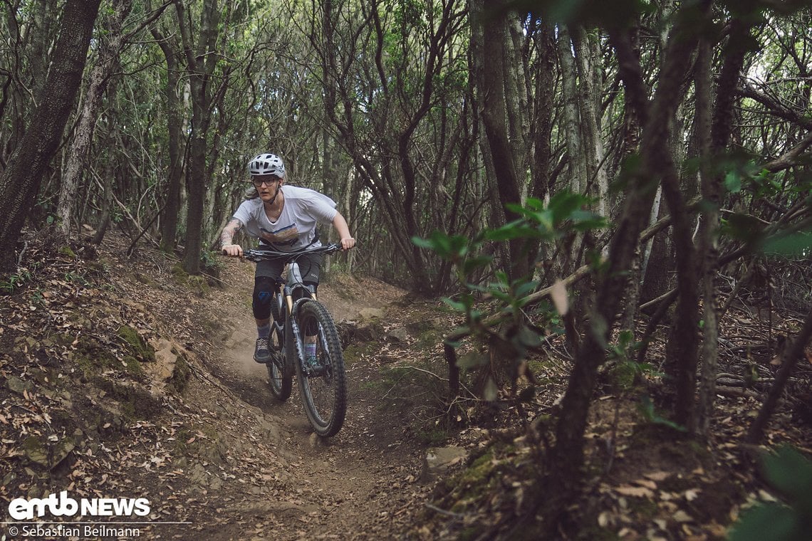 Der  Serra del Pero Trail startet eher flowig