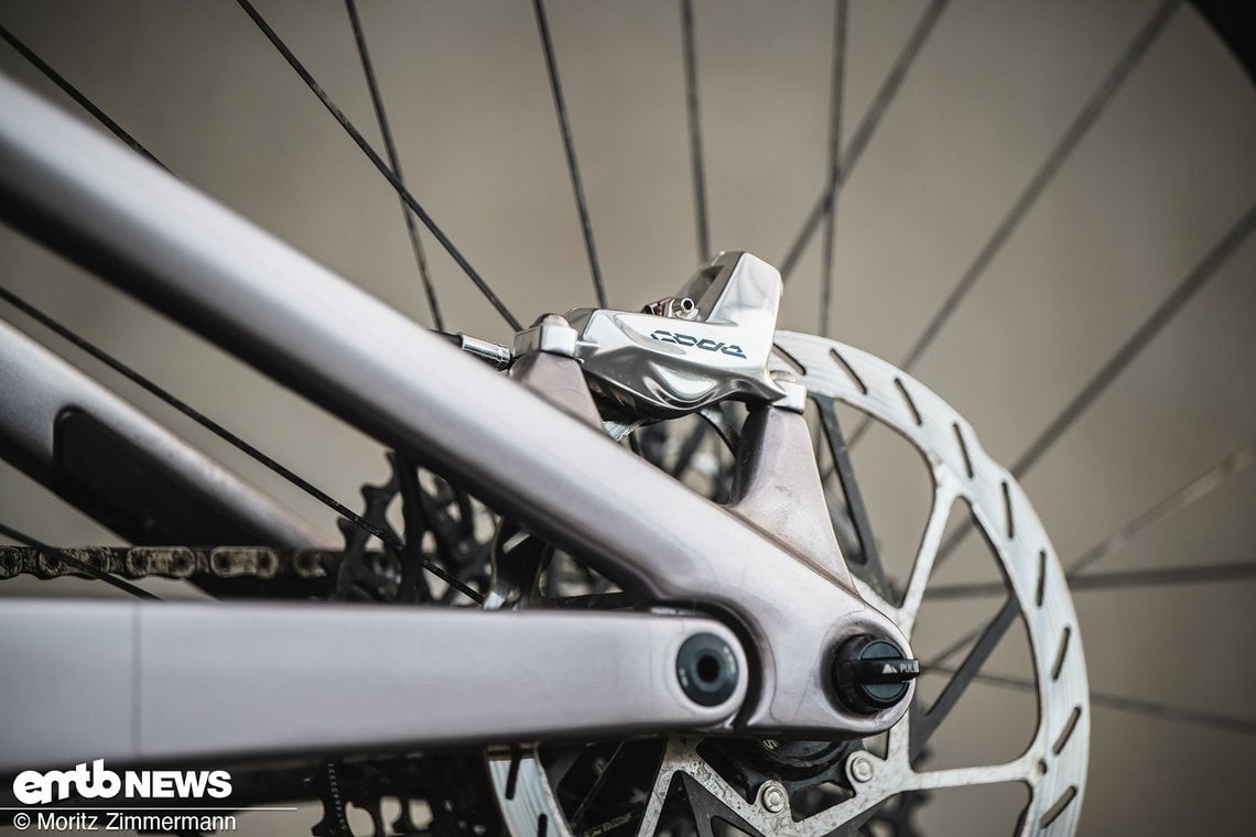 Klassischer, schön integrierter Horst-Link.