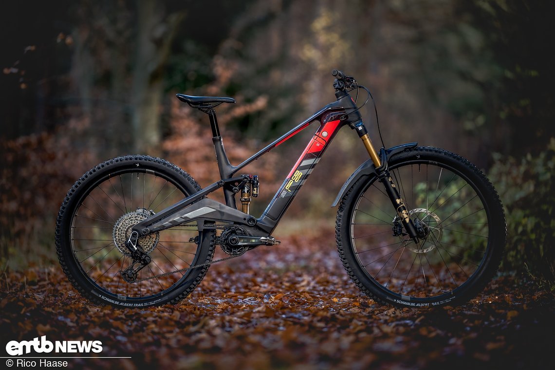 Silber gewinnt das Rotwild R.EX 900.