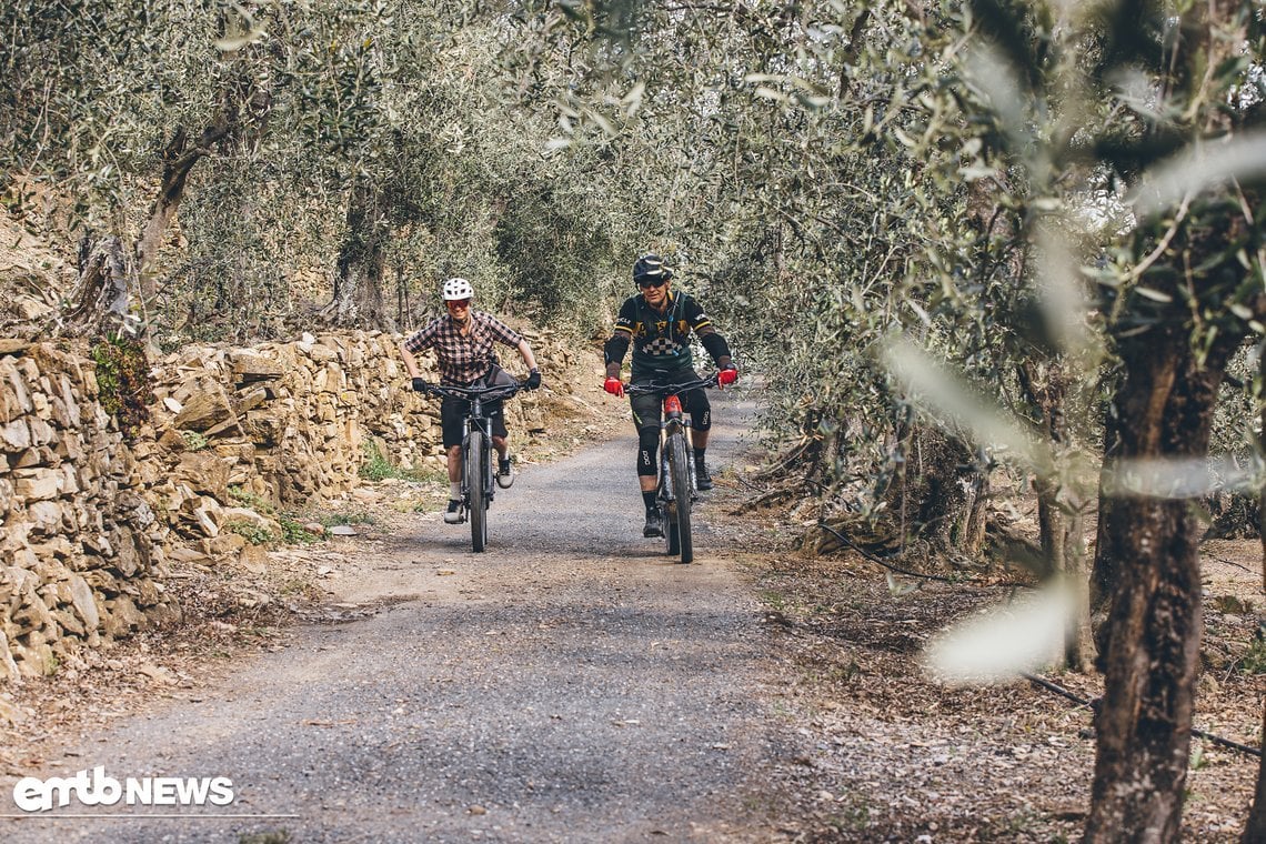 Sissi und Patrick Biken durch die Olivenhaine.