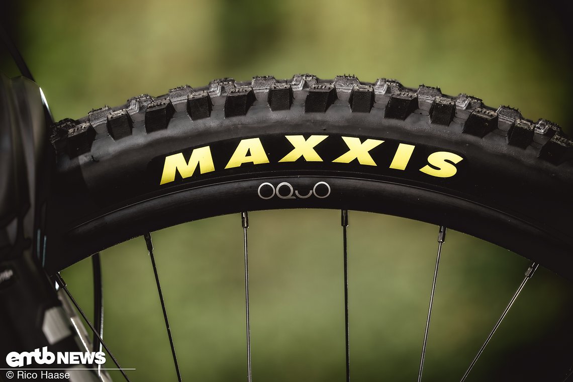 Hauseigene, hochwertige Oquo-Laufräder gepaart mit den Maxxis Klassikern Assegai und DHR II.