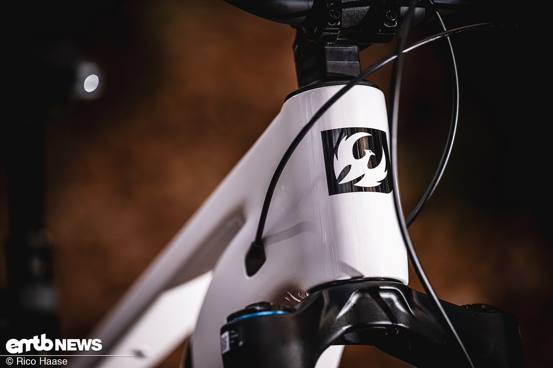 Pivot Shuttle LT mit Bosch CX-R DSC 2933