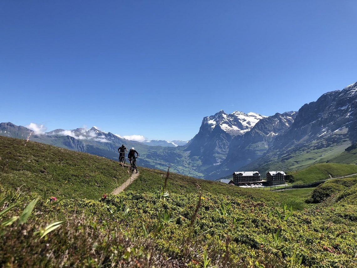 Zur Abwechslung ist es auch mal schön, einen einfachen flachen Trail zu genießen ...