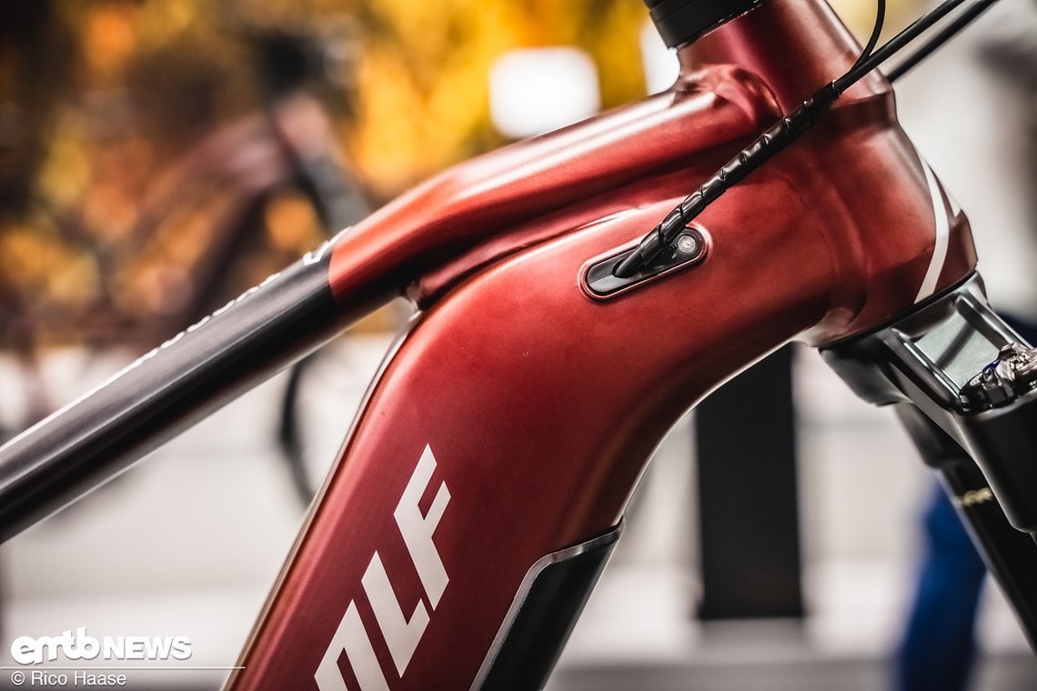 Steppenwolf TYCOON 8 Di2 – Eurobike 2023 DSC 3804