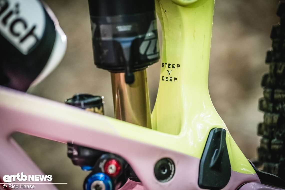 Orbea Wild Fast Forward Team 2025 Bikecheck DSC 2955