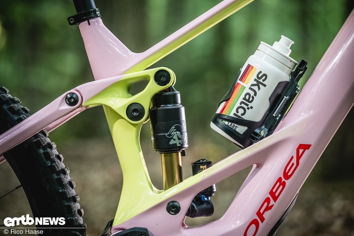 Orbea Wild Fast Forward Team 2025 Bikecheck DSC 2923