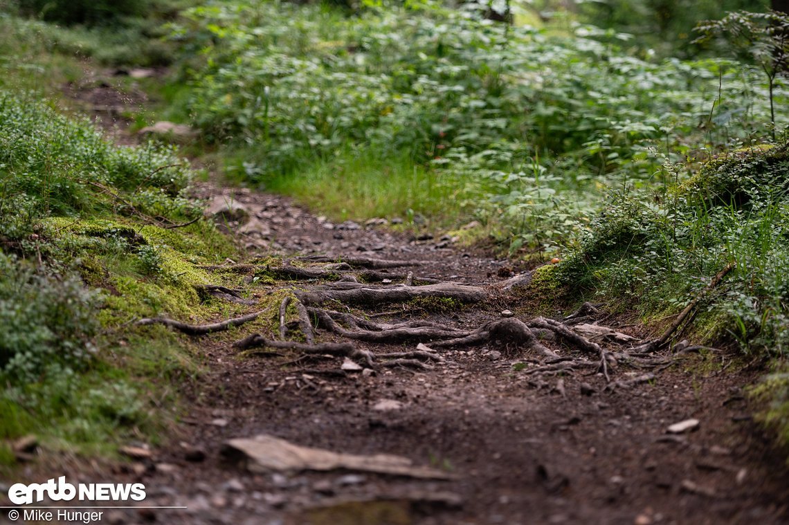 Wir können es gar nicht oft genug wiederholen: Die Trails ...