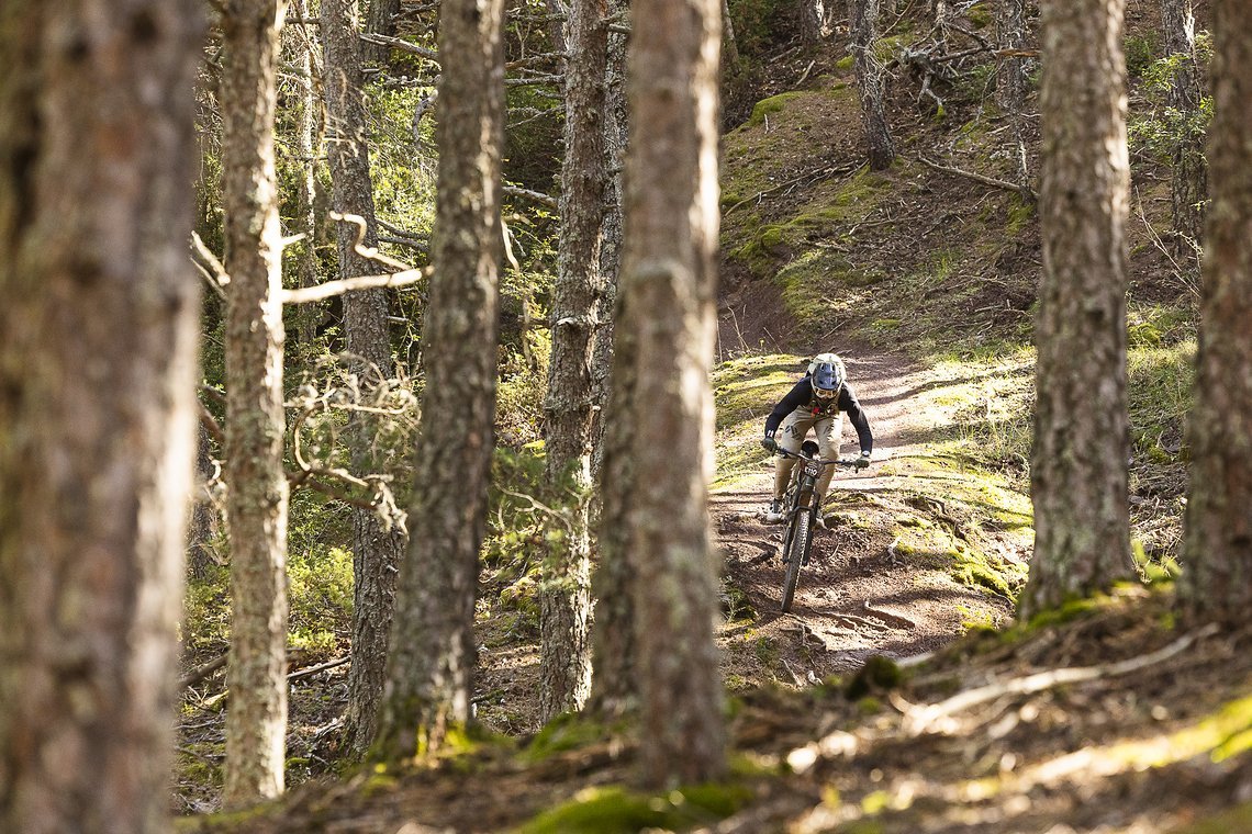 Auf den anderen Stages des Tages ging es eher durch Wälder und, wie immer, über Stock und Stein.