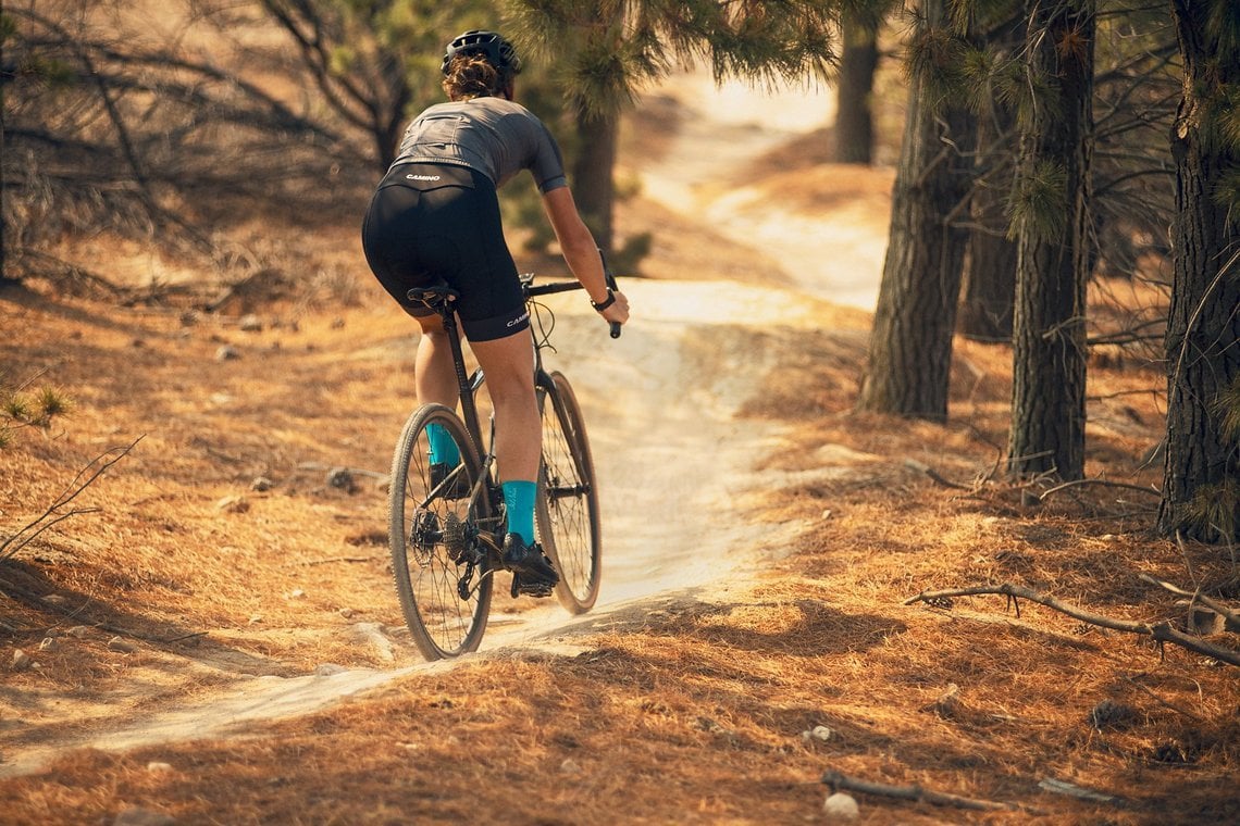 Auch moderate Trails sind mit diesem E-Bike problemlos befahrbar