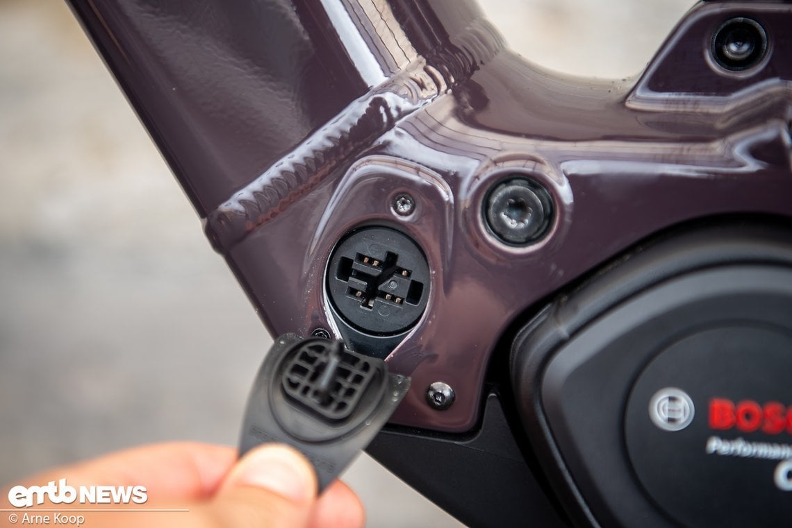 Santa Cruz Vala AL-23