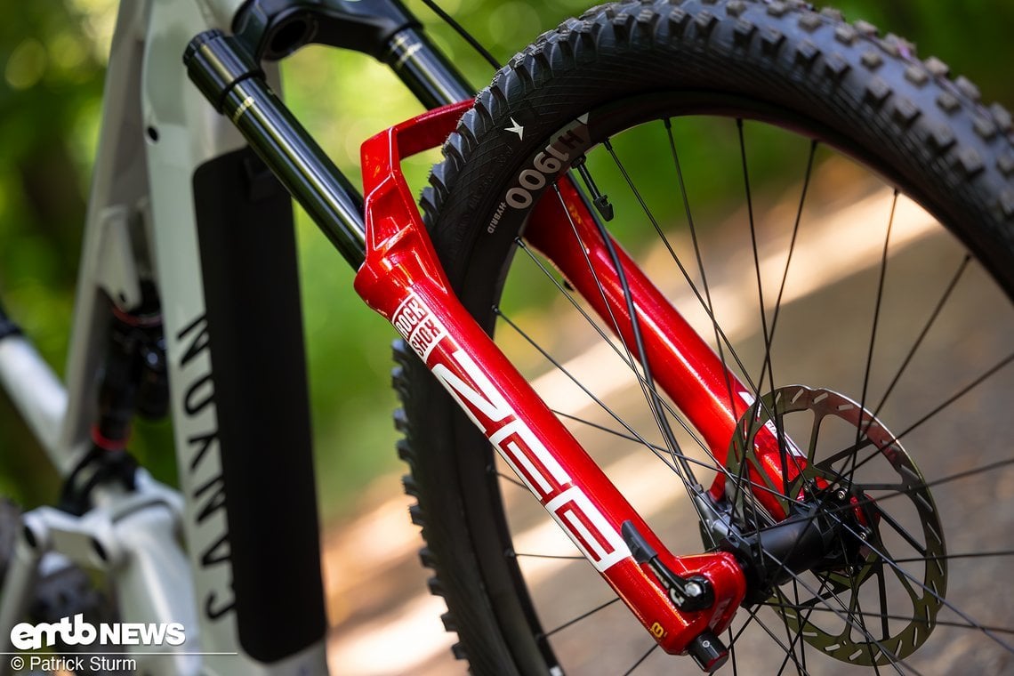 Eine rote Zeb soll entzücken