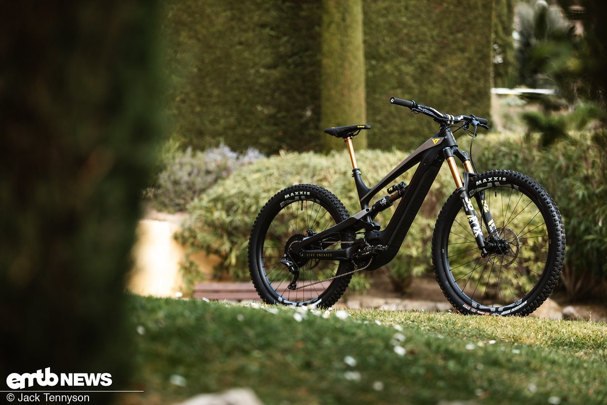 Is this a duck or an E-Bike? Is this a duck or an E-Bike?