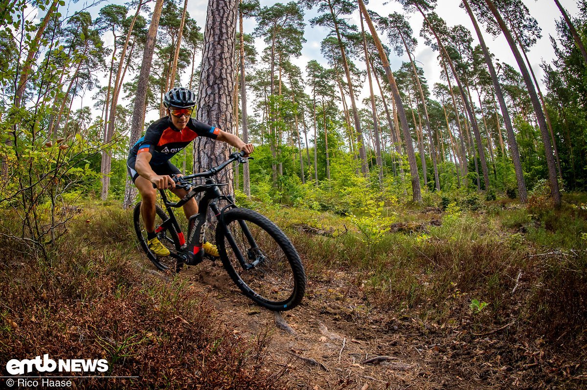 "Manicured" trails are ridden at full speed "Manicured" trails are ridden at full speed