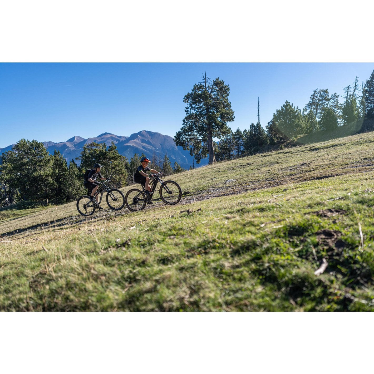 E Bike Kinder Der Ultimative Guide Fur Elterliche Freiheit Und Kindgerechtes Abenteuerfeed