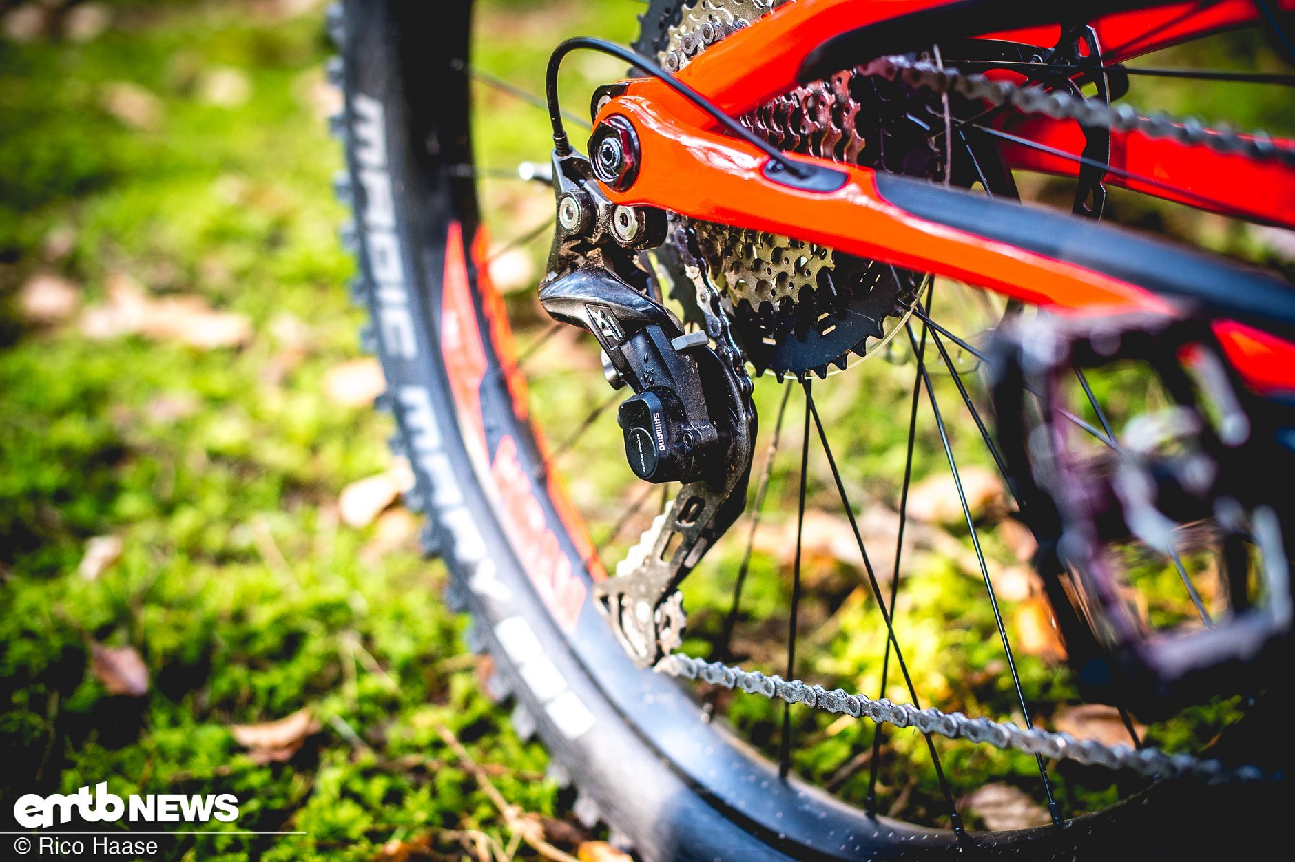 BH Bikes Atom-X Carbon: Neuvorstellung und exklusiver Test